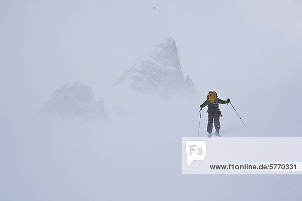 A man ski touring in near whiteout conditions. Wapta Icefields  Banff National Park  Alberta  Canada
