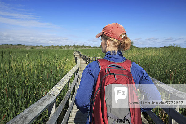 Frau wandern Sumpf Wiese Hecla-Grindstone Provincial Park Kanada Manitoba