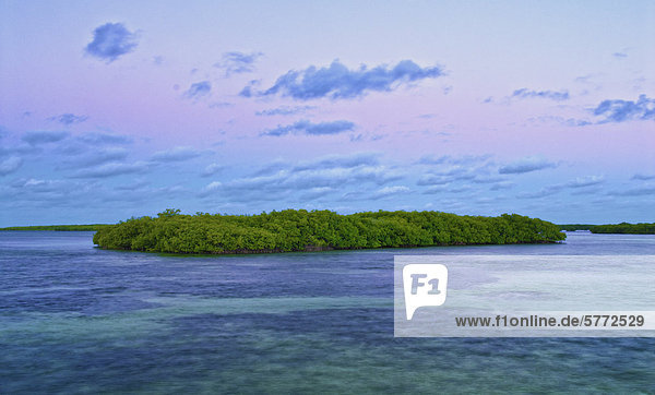 Eine Mangrove-Insel bei Tagesanbruch in den Jardines del Rey  ein UNESCO-Welt-Biosphärenreservat im Atlantischen Ozean  in der Nähe von Cayo Santa Maria  Kuba.