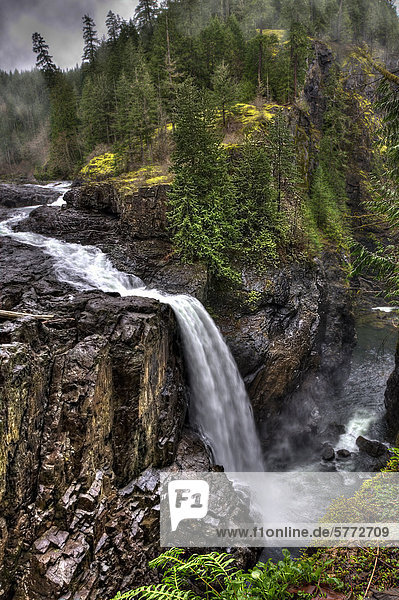 Elk Falls  Elk Falls Provincial Park  zentrale Vancouver Island  British Columbia  Kanada