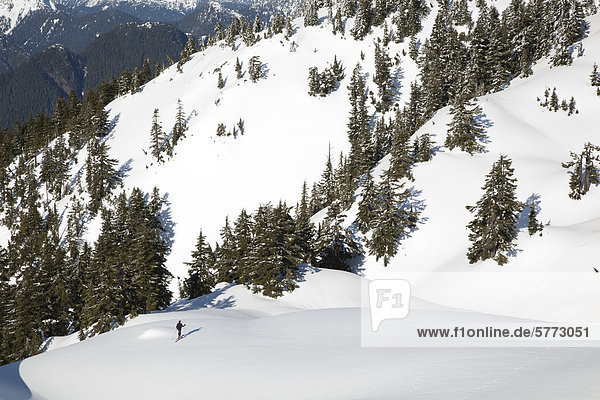 Cross country skier at Mount Seymour in North Vancouver  British Columbia  Canada.