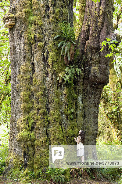 Fichte Drehzahlmesser nebeneinander neben Seite an Seite Frau Baum Stange Telefon Wachstum Brücke Campingplatz Fluss Holz Maß angeln vorwärts Gleichung Zugänglichkeit British Columbia Kanada Krone Entspannung Sekunde Brotaufstrich Vancouver Island