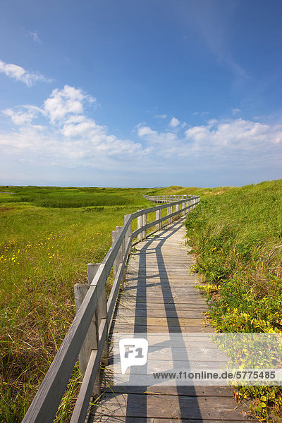 Boardwalk and beach  Port Hood  Cape Breton  Nova Scotia  Canada