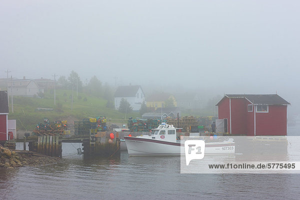 Fishing boats docked at wharf in fog  Louisbourg  Cape Breton  Nova Scotia  Canada