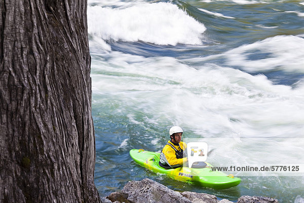 A male kayaker waiting in an eddy before surfing an amazing wave on the Clearwater River  Clearwater  British Columbia  Canada