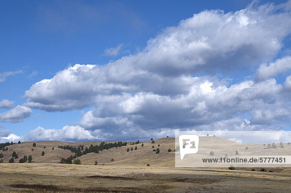 Scenic of prairie grasslands and clouds in Wind Cave National Park  South Dakota.