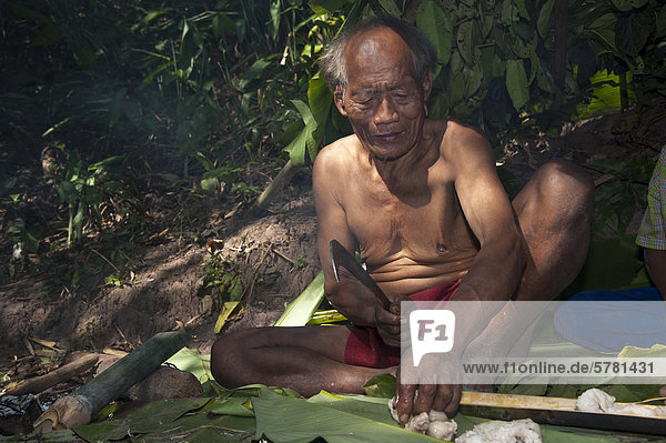 'Elderly man from the Mlabri  Mrabri  Yumbri  Ma Ku or ''Spirits of the Yellow Leaves'' hill tribe  ethnic minority  nomads  cooking in a bamboo tube  Northern Thailand  Thailand  Asia'