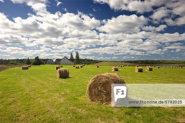 Baled hay and farm  Acadian Coast  New Brunswick  Canada