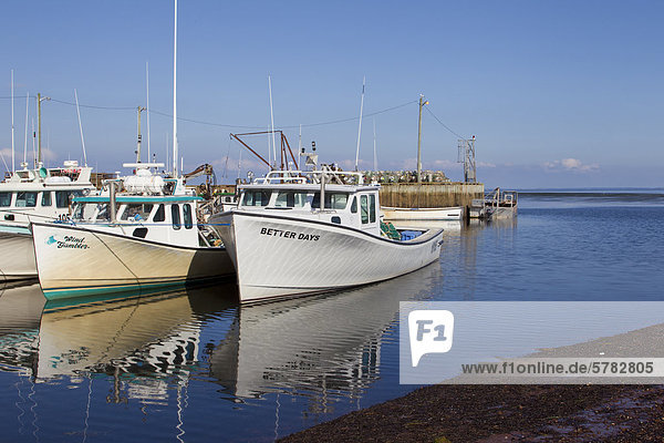 Fischerboote gefesselt at Nine Mile Creek Wharf  Prince Edward Island  Kanada