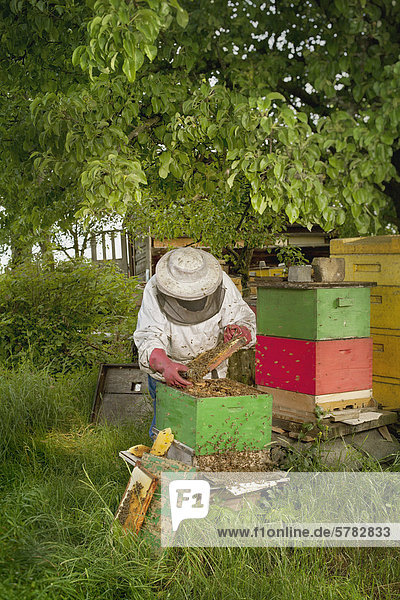 Beekeeper in front of an hope hive