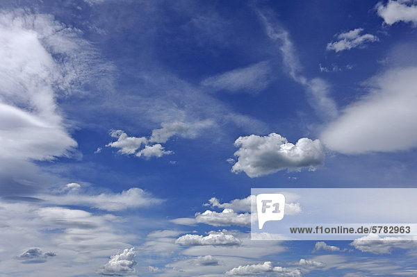 Wolkenhimmel mit Federwolken (Cirrocumulus)  Mittelfranken  Bayern  Deutschland  Europa