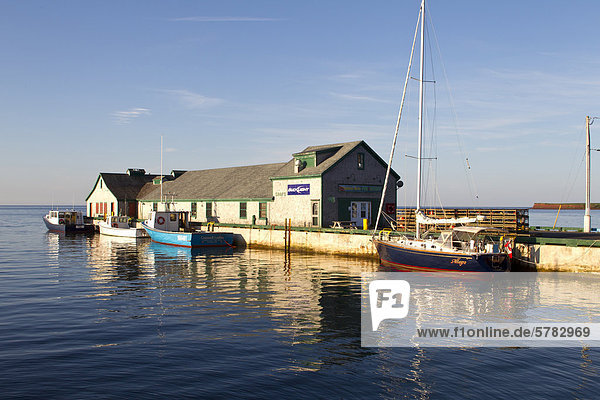 Angeln  Boote und Segelboot gefesselt am Kai  Victoria  Prince Edward Island  Canada