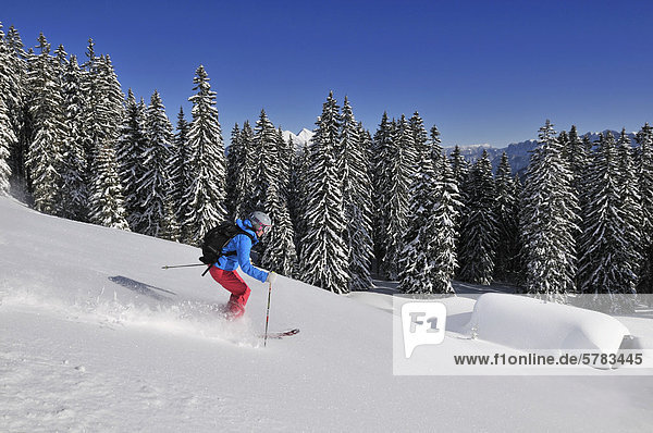 Skier  Steinplatte skiing region  Reit im Winkl  Chiemgau region  border or Bavaria  Germany with Tyrol  Austria  Europe