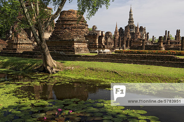 Wat Mahathat  Sukhothai Historical Park  Sukhothai  Thailand  Asien