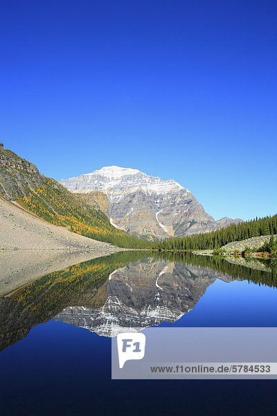 Trost See widerspiegelt Mt Tempel  Banff Nationalpark  Alberta  Kanada