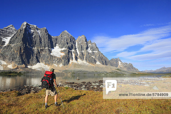 Backpacking through alpine meadows at Amethyst Lakes with The Ramparts in the background  Tonquin Valley  Jasper National Park  Alberta  Canada