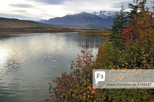 Diese Landschaft Bild Uferlinie und schneebedeckten Rocky Mountains entlang Talbot Lake wurde erfasste ein wolkenschleier Herbstmorgen in Jasper Nationalpark  Alberta Kanada.