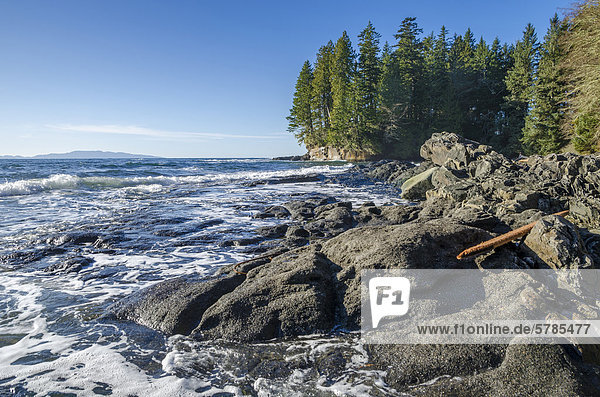 Botanische Strand  Juan De Fuca Provincial Park  Sandcut Beach  Vancouver Island  British Columbia  Kanada