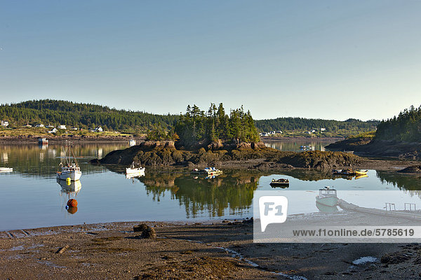 Fischerboot bei Ebbe  Blacks Harbour  Bucht von Fundy  New Brunswick  Kanada
