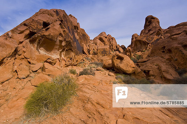 Valley of Fire State Park  Nevada  USA