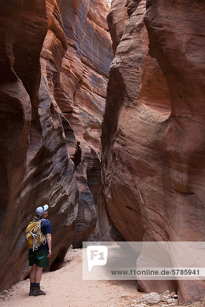 Wanderer in Buckskin Gulch  Paria Canyon-Vermilion Cliffs Wilderness Area  Utah  Vereinigte Staaten