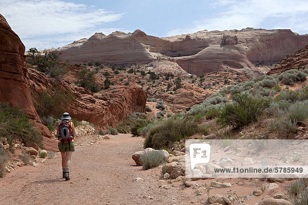 Hiker on the Wire Pass Trail on the way to Buckskin Gulch  Paria Canyon-Vermilion Cliffs Wilderness Area  Utah  United States of America