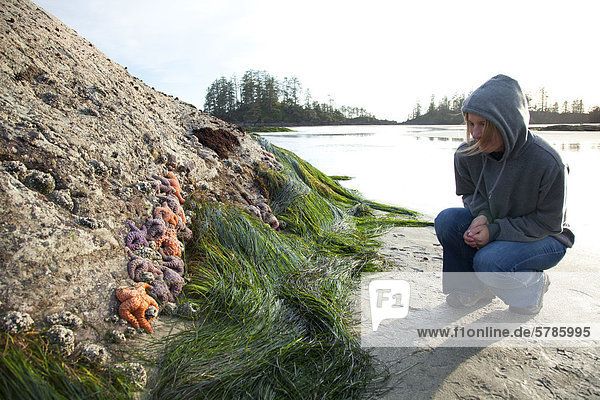 A woman looks at sea stars and starfish at Schooner Cove near Long Beach in Pacific Rim National Park near Tofino  British Columbia  Canada on Vancouver Island in Clayoquot Sound UNESCO Biosphere Reserve.