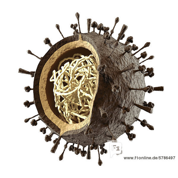 Anschnitt zeigen überqueren Einsamkeit Gebäude Illustration weiß Hintergrund innerhalb Grippe Virus Vogel Kreuz DNA