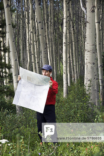 Mitte zwischen männlichen Blick auf Karte in Aspen Wald Wanderer.