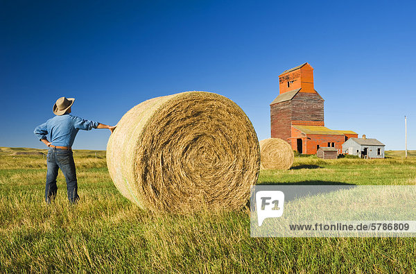 a farmer looks out over old grain elevators and round hay bales   ghost town of Neidpath  Saskatchewan  Canada