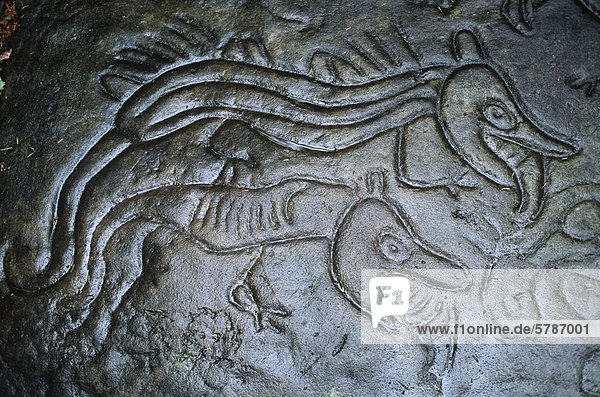 Petroglyph Park Sandstein Nanaimo Vancouver Island British Columbia Kanada.