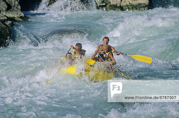 Whitewater rafters on Cheakamus River  Whistler area  British Columbia  Canada.