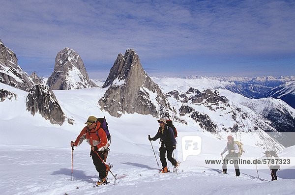 Hinterland Skifahrer Skitouren auf Bugaboo Gletscher  British Columbia  Kanada.