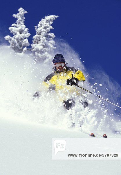Skifahrer Skifahren frische Tiefe Pulver in Fernie Alpine Resort  East Kootenays  British Columbia  Kanada.