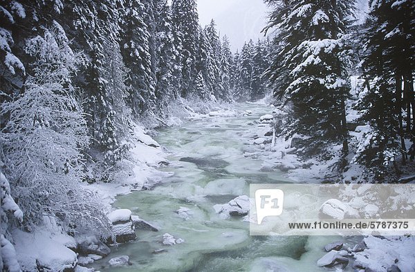 Cayoosh Creek gefriert im Winter  British Columbia  Kanada.