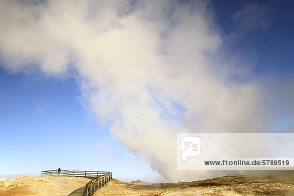 Holzweg vor Fumarolen des Sudurnes-Geothermalkraftwerk auf der Halbinsel Reykjanes  Island