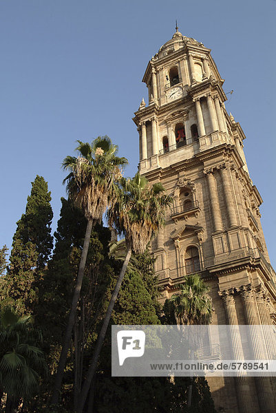 Tower of the Cathedral of Malaga  Spain