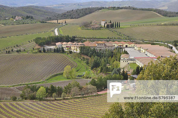 Das Weingut vom Castello di Brolio  Chianti-Gebiet  Toskana  Italien  Europa