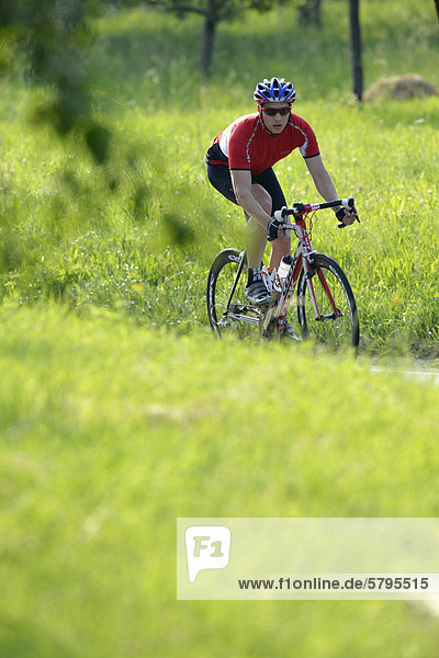 Cyclist riding a high-quality carbon road bike  Weinstadt  Baden-Wuerttemberg  Germany  Europe