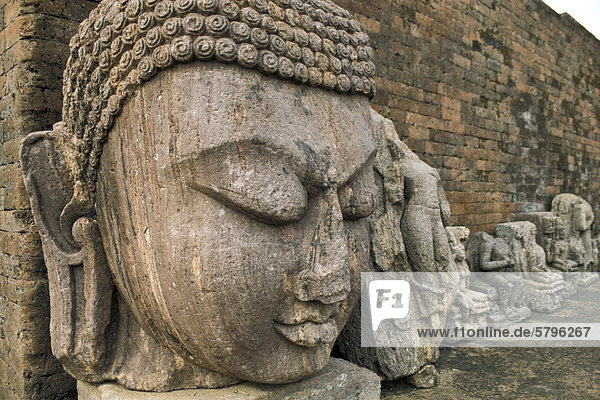 Monumentaler Buddha-Kopf  Ausgrabungsstätte  ehemaliges buddhistisches Kloster  Ratnagiri  Orissa  Ostindien  Indien  Asien