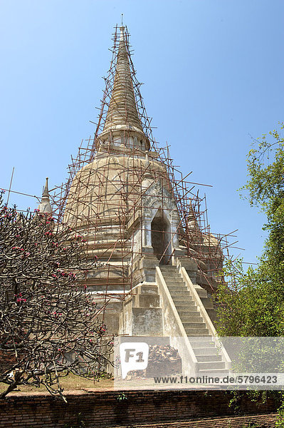Wat Phra Si Sanphet  Ayutthaya  Thailand  Asien