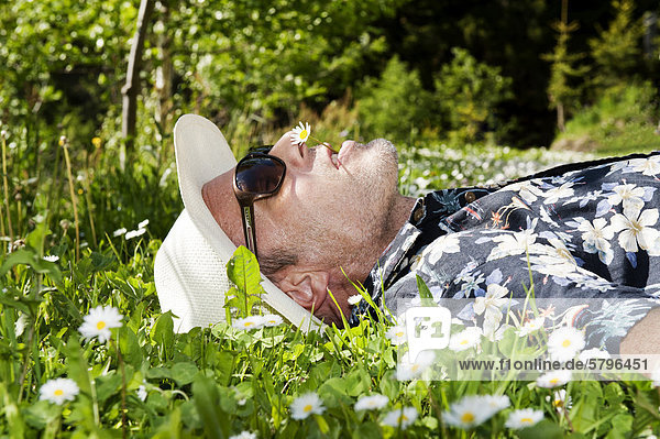 Man wearing a straw hat  sunglasses and a Hawaiian shirt  lying in a flowering meadow  has a daisy in his mouth