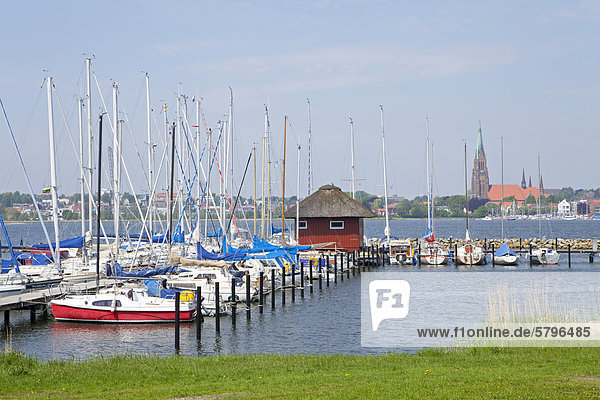 Blick auf Schleswig vom Yachthafen Haithabu  Schlei  Schleswig-Holstein  Deutschland  Europa