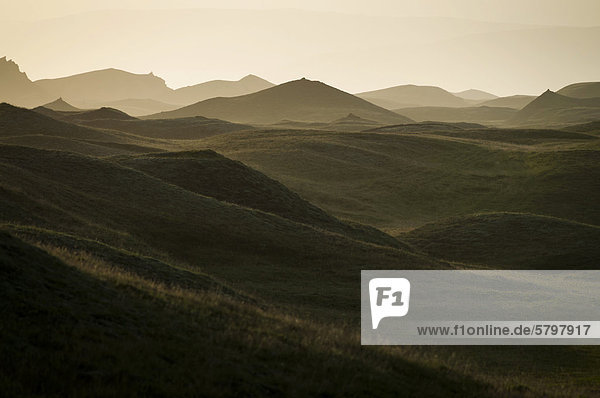 Grüne Hügellandschaft im Gegenlicht  Wiese  bei KirkjubÊjarklaustur  Südisland  Island  Europa
