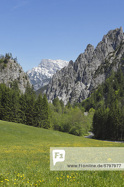 Nationalpark Gesäuse  Blick von Johnsbach  Ennstaler Alpen  Obersteiermark  Steiermark  Österreich  Europa