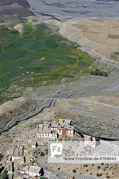 Blick auf Felder und buddhistisches Kloster oder Gompa Ki Spiti-Tal Lahaul und Spiti indischer Himalaya Himachal Pradesh Nordindien Indien Asien