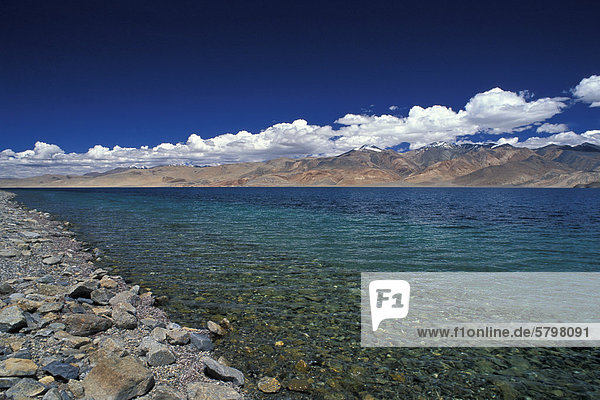 Ufer hochgelegener Bergsee Tso Moriri oder Tsomoriri Changtang oder Changthang Ladakh indischer Himalaya Jammu und Kaschmir Nordindien Indien Asien