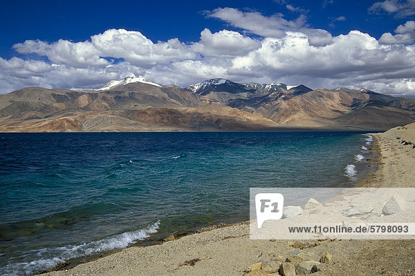 Ufer hochgelegener Bergsee Tso Moriri oder Tsomoriri Changtang oder Changthang Ladakh indischer Himalaya Jammu und Kaschmir Nordindien Indien Asien