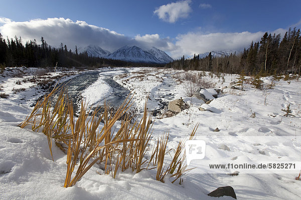 Erster Schnee am Quill Creekü St. Elias Mountainsü Kluane Gebirge hintenü Kluane National Park and Reserveü Yukon Territoryü Kanada
