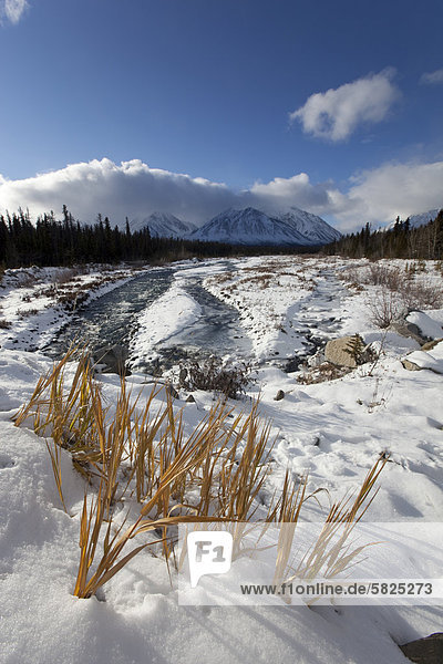 Erster Schnee am Quill Creekü St. Elias Mountainsü Kluane Gebirge hintenü Kluane National Park and Reserveü Yukon Territoryü Kanada